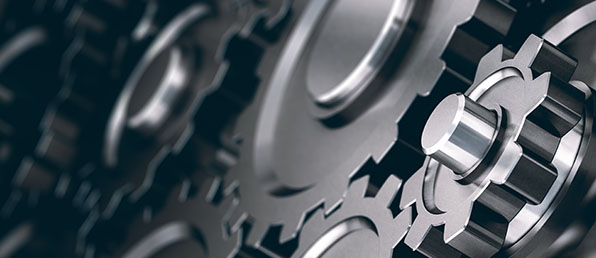 신입/경력 사원 모집