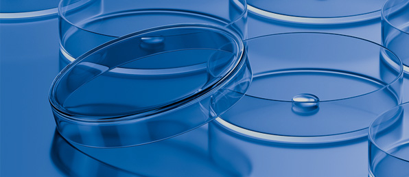 2025 하반기대웅그룹 채용