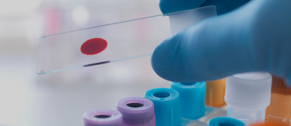 2025년 11월 수시채용[각 부문별]