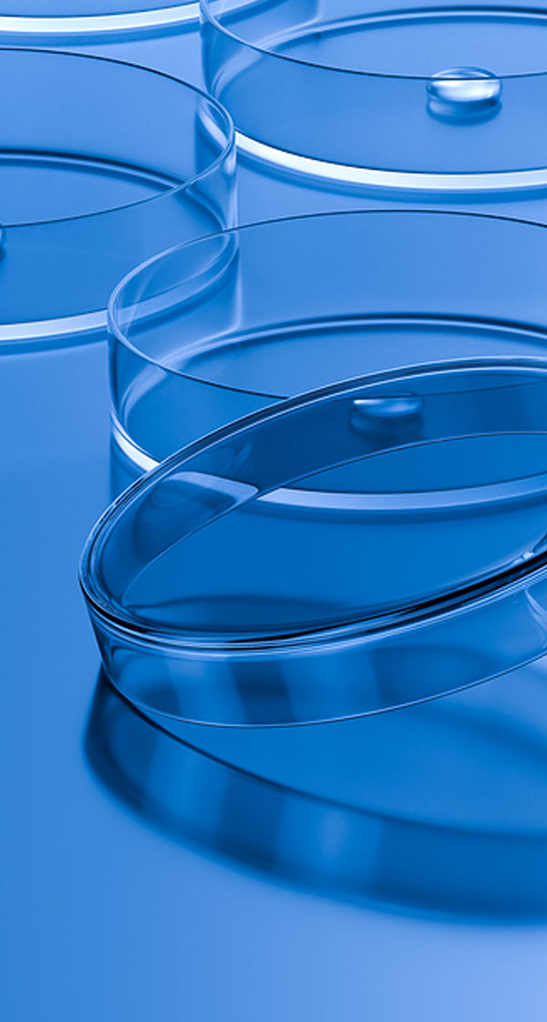 채용연계형 GMP인턴십 모집