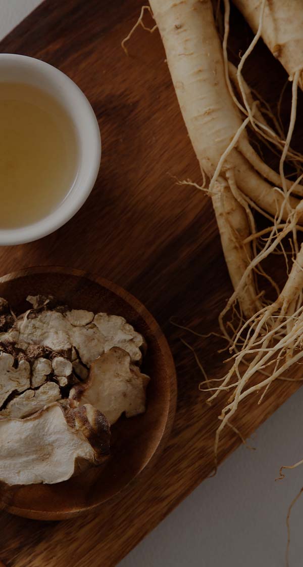 분야별 신규사원(전문계약직)모집