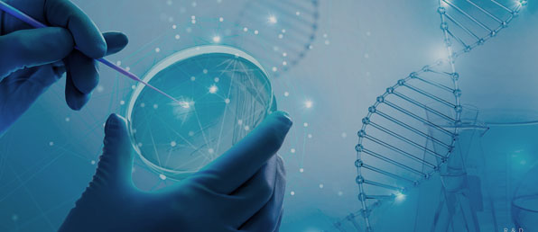 2026년 대규모 공개채용