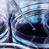 25년 12월 경력사원 수시모집