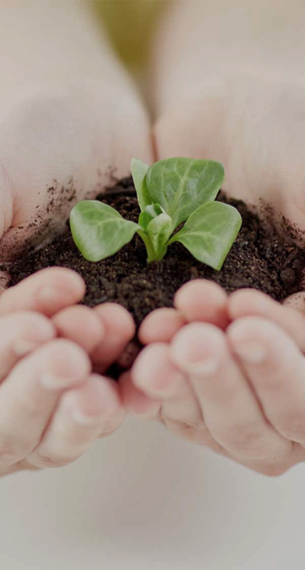 2026년 상반기각 부문 신입사원 채용