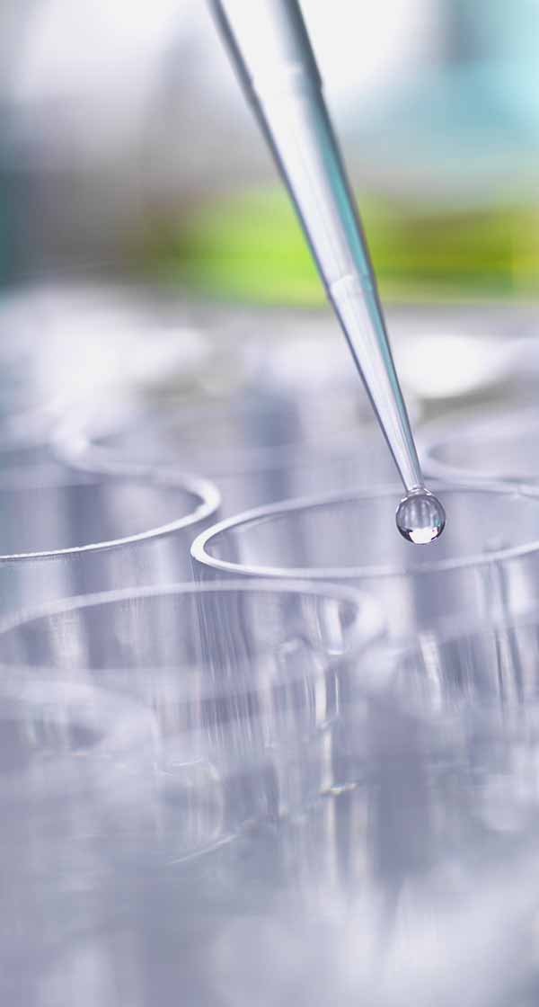 DNA 채용 (수시채용)