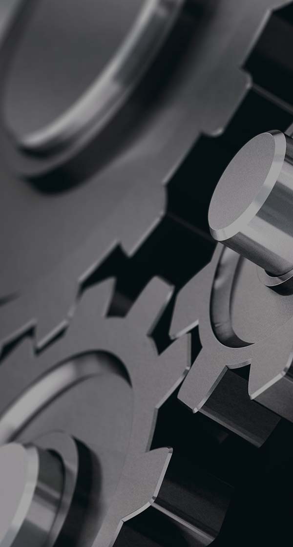 신입 사원 모집