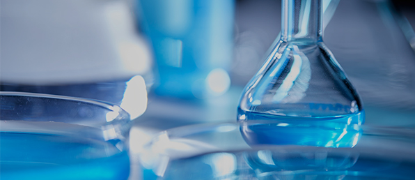 2026년 1월 수시채용[각 부문별]