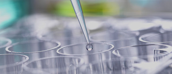 서울사무소 각 부문신입/경력 채용