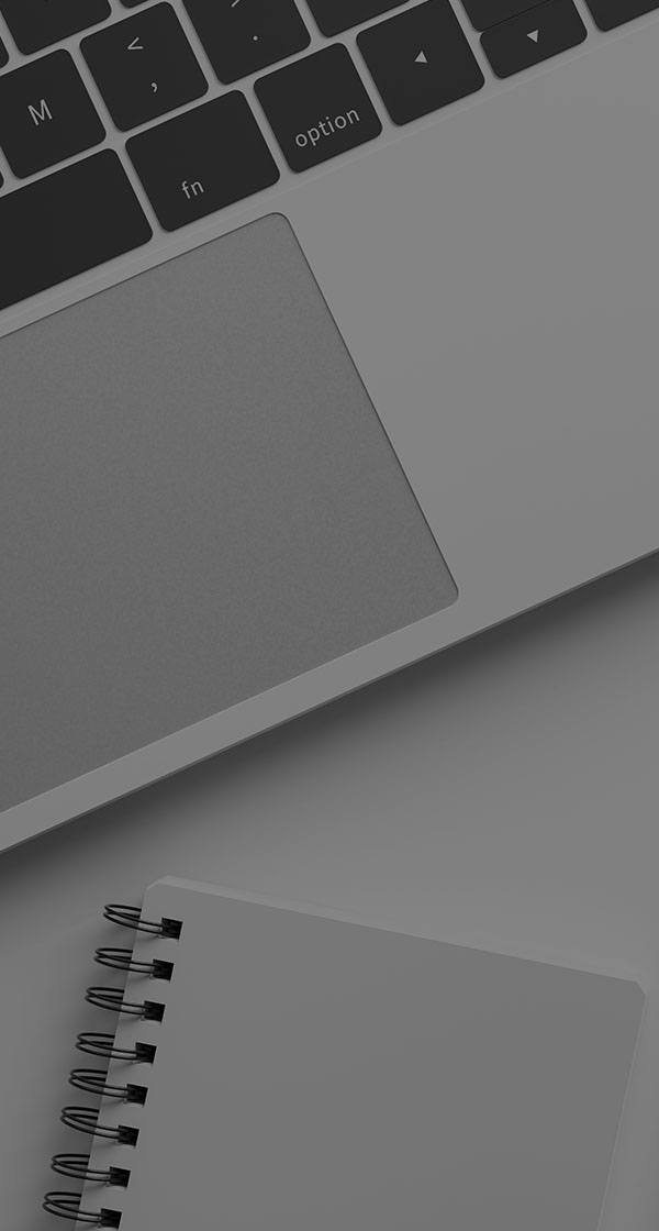 2026년 전직군신입/경력 채용