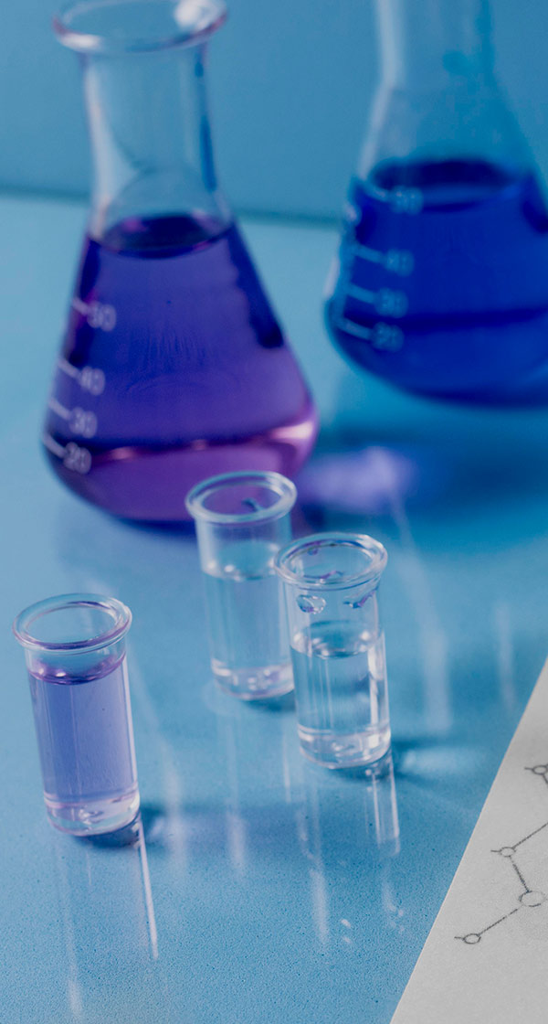 2026년 각 부문 신입/경력수시채용