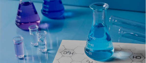 2026년 각 부문 신입/경력수시채용