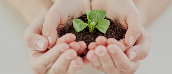 농업경제부문신규직원 채용