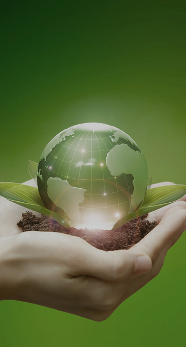 2026년 신입/경력 채용