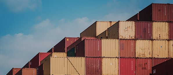 2026년 신입 및 경력직상시 채용