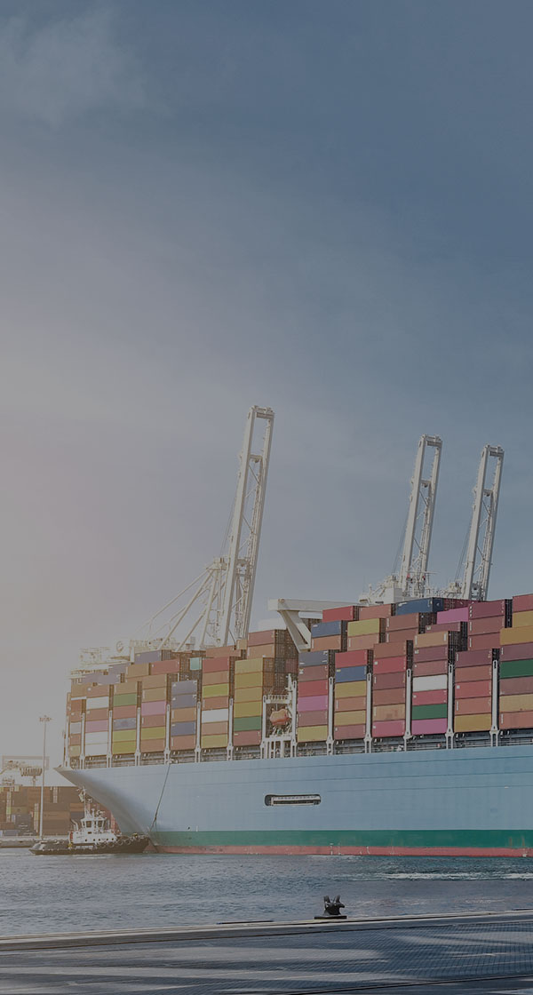 2026년 신입 및 경력직상시 채용