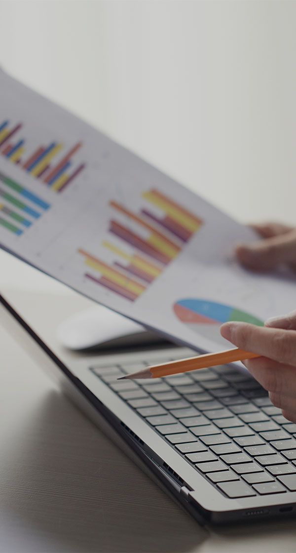 2026년 부문별 채용(신입/경력)